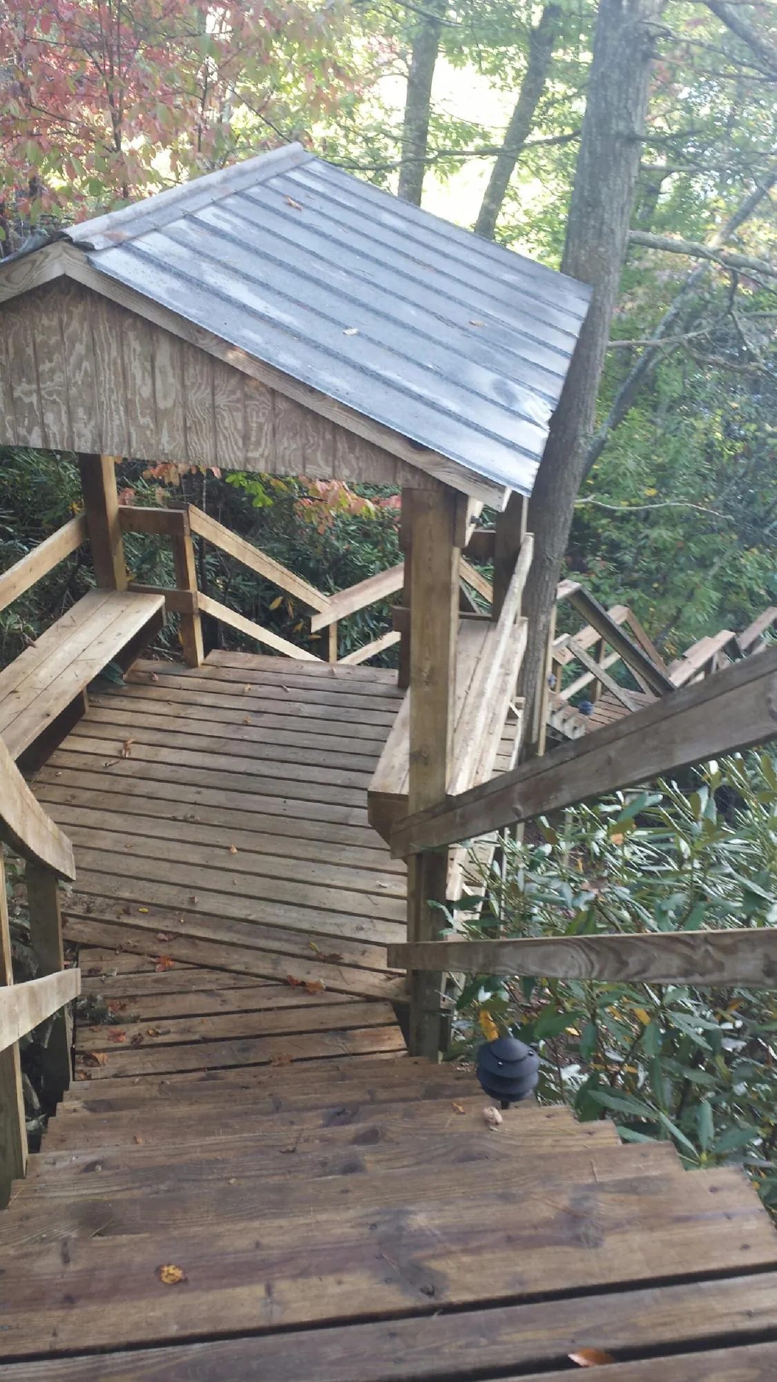 Metal roofed shelter over wooden steps on a wooded walkway — Skylight Repair & Installation work by our crew in Randle